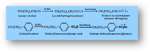 The soluble endpoints of the chains have anions. They are sulphonated long chains of hydrocarbons or alcohols with sodium salts. They’re made from long-chain hydrocarbons or alcohols that have been treated with strong sulphuric acid before being neutralized with NaOH.