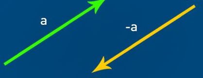 Collinear vectors