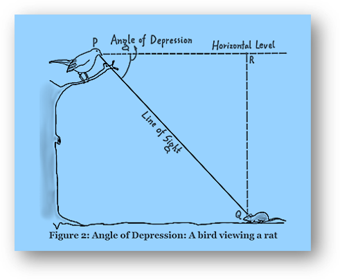 Angle of Depression in Height And Distance