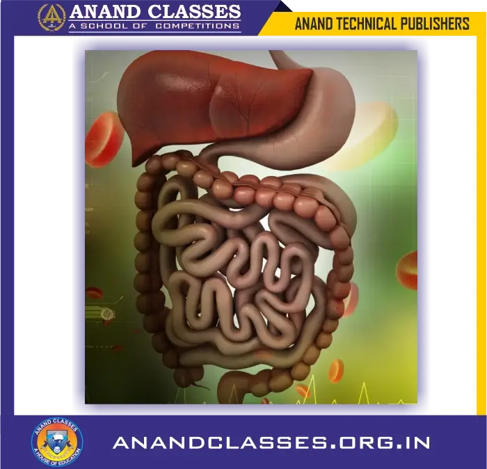Types of Heterotrophic Nutrition-Holozoic Nutrition