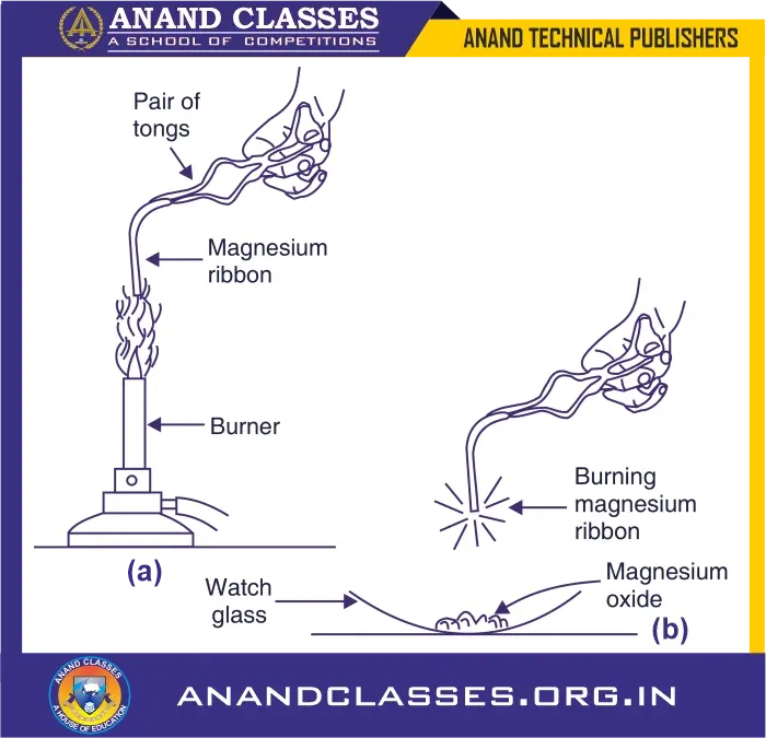 (a) Magnesium ribbon being heated over a burner (b) Magnesium ribbon burns in air to form magnesium oxide