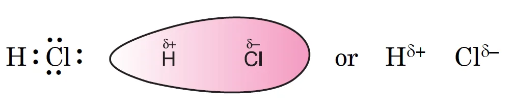 Polar Covalent Bond. two poles in the HCl molecule, making it a polar molecule. The bond is called a polar covalent bond