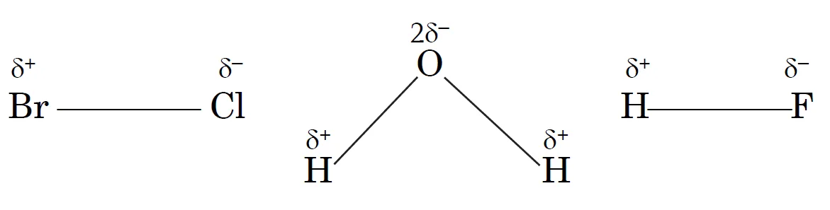Examples of polar molecules: BrCl, H2O, HF. 