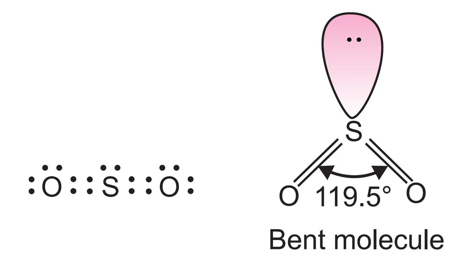 Shape of SO2 molecule (angular, V-shaped, or bent shape)