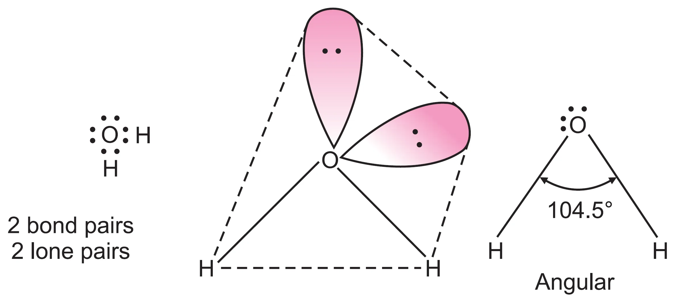 Shape of H2O molecule ( bent or angular)