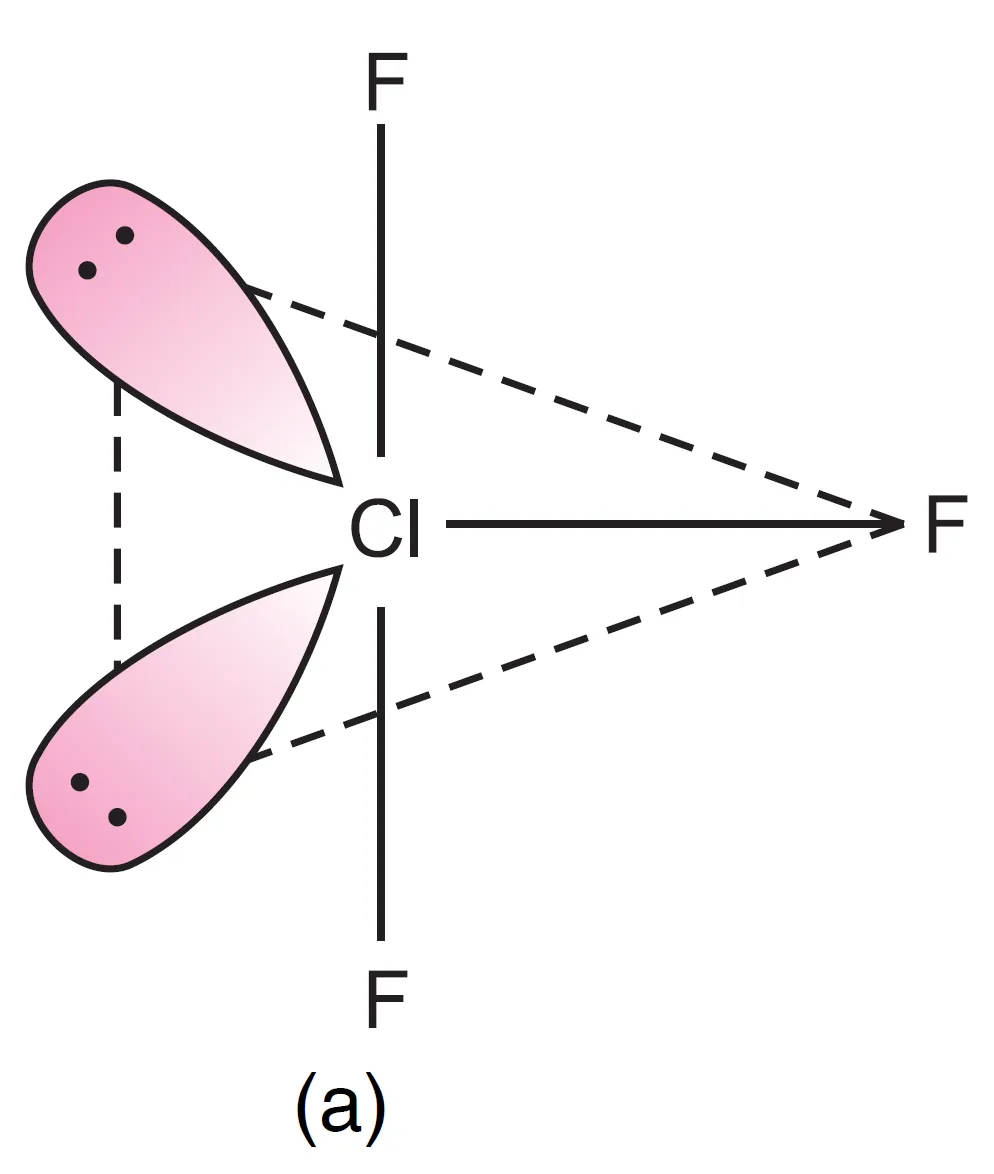 Shape of ClF3 molecule in which Both lone pairs at equatorial positions