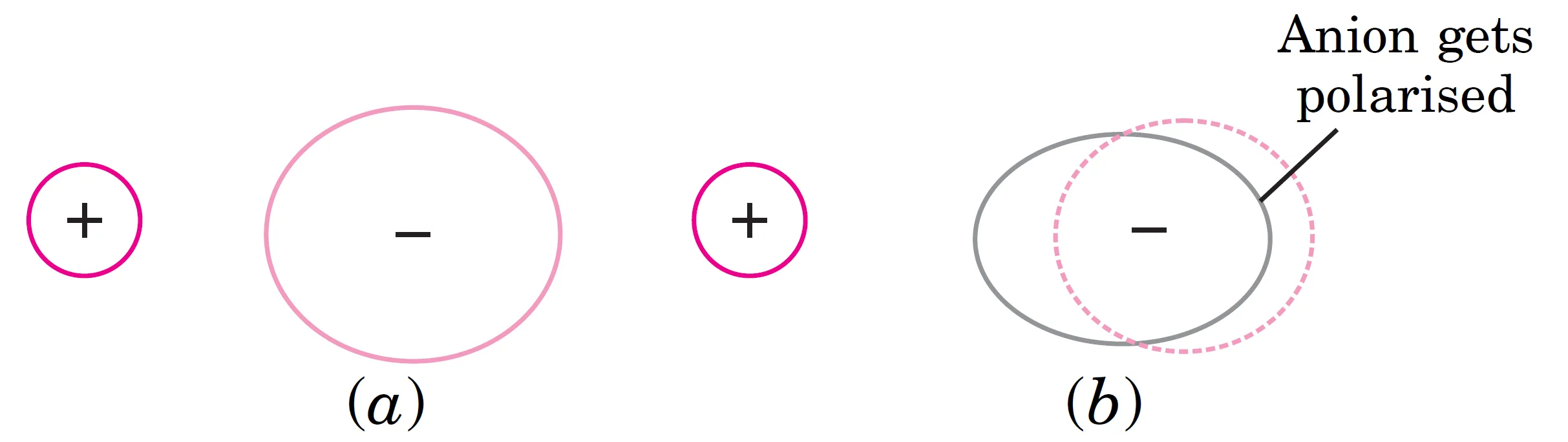 The polarisation of an anion by cation. In Fig. (a), the two ions are shown without any polarisation, assuming that the bond is completely ionic.. The positive ion polarises the negative ion and
draws electrons towards itself. As a result of
polarisation, there is decrease of positive charge on
the cation and decrease of negative charge on the
anion. This leads to covalent character