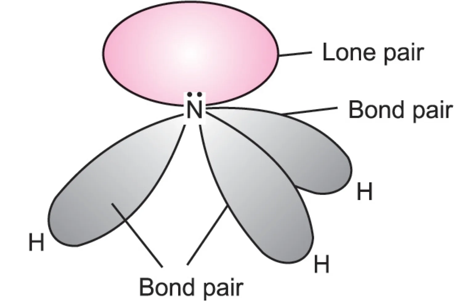 In ammonia, there are three bond pairs and one lone pair. .Lone pair and bond pairs Repulsions in NH3 molecule (VSEPR Theory)