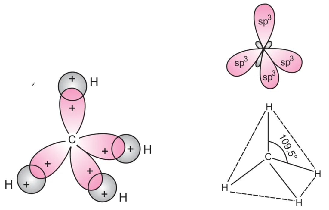 Formation of methane (CH4) :  Tetrahedral geometry 