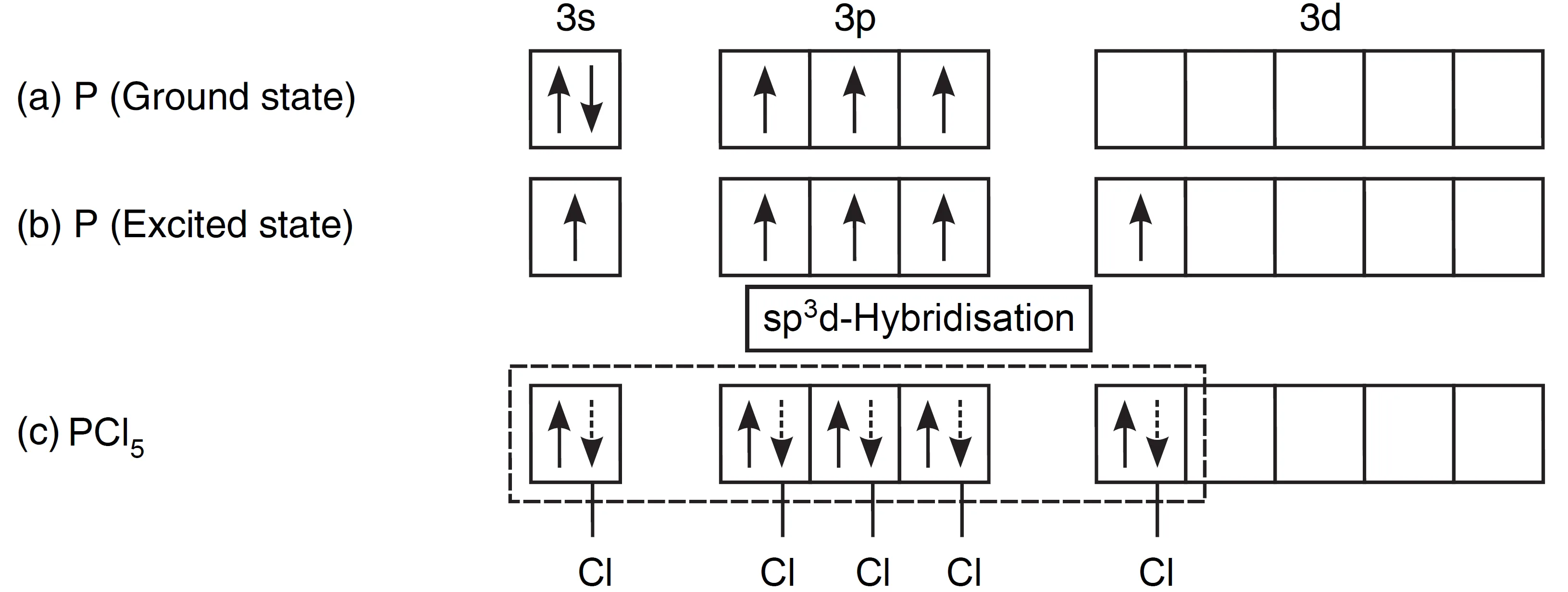 Formation of PCl5 molecule involving sp3d hybridisation