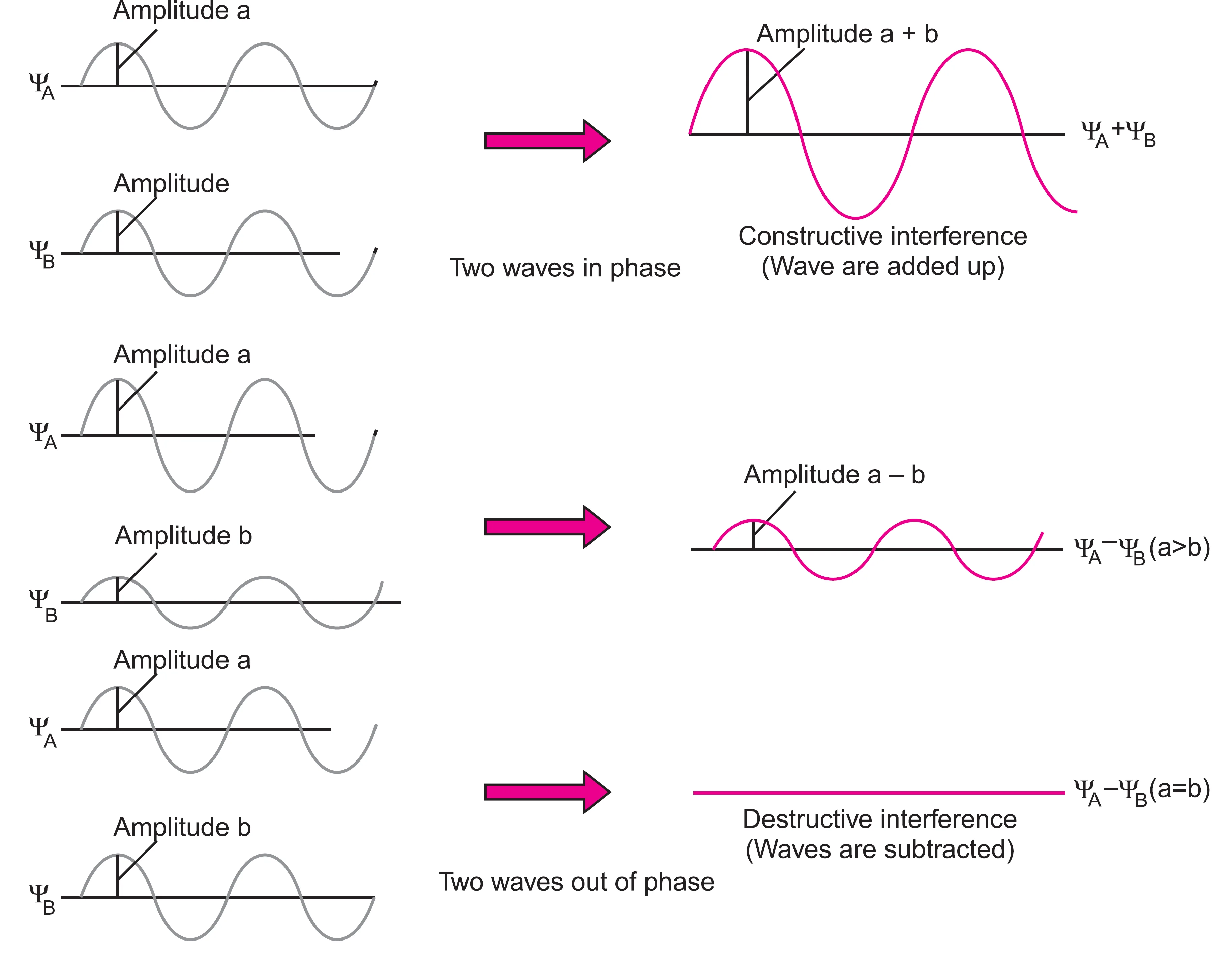 Constructive and destructive interference of waves.