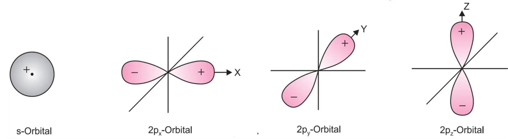s-orbitals are spherically symmetrical and are +ve in all directions while the p-orbitals consisting of two lobes have one lobe with + ve sign and the other lobe with – ve sign
