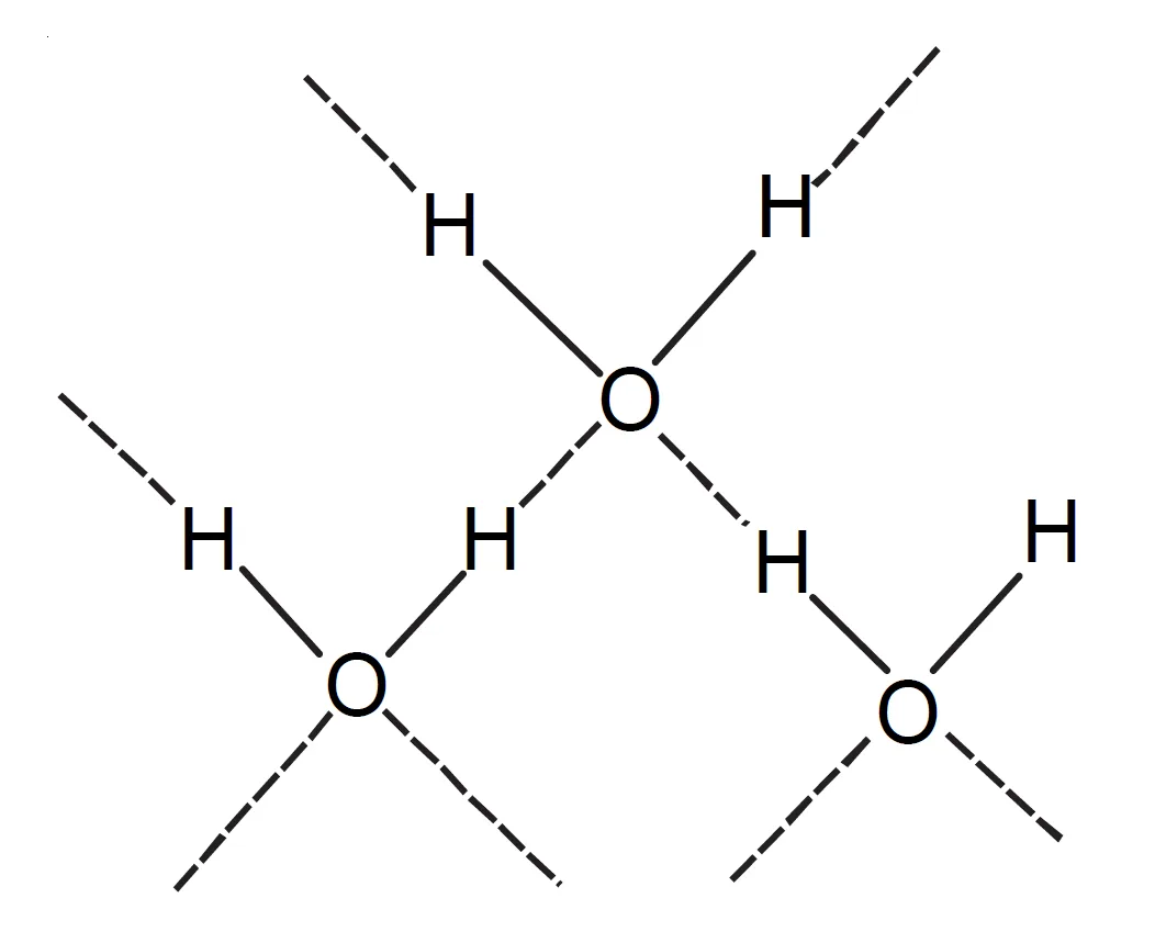 Hydrogen Bonding Occur in Water (H2O)