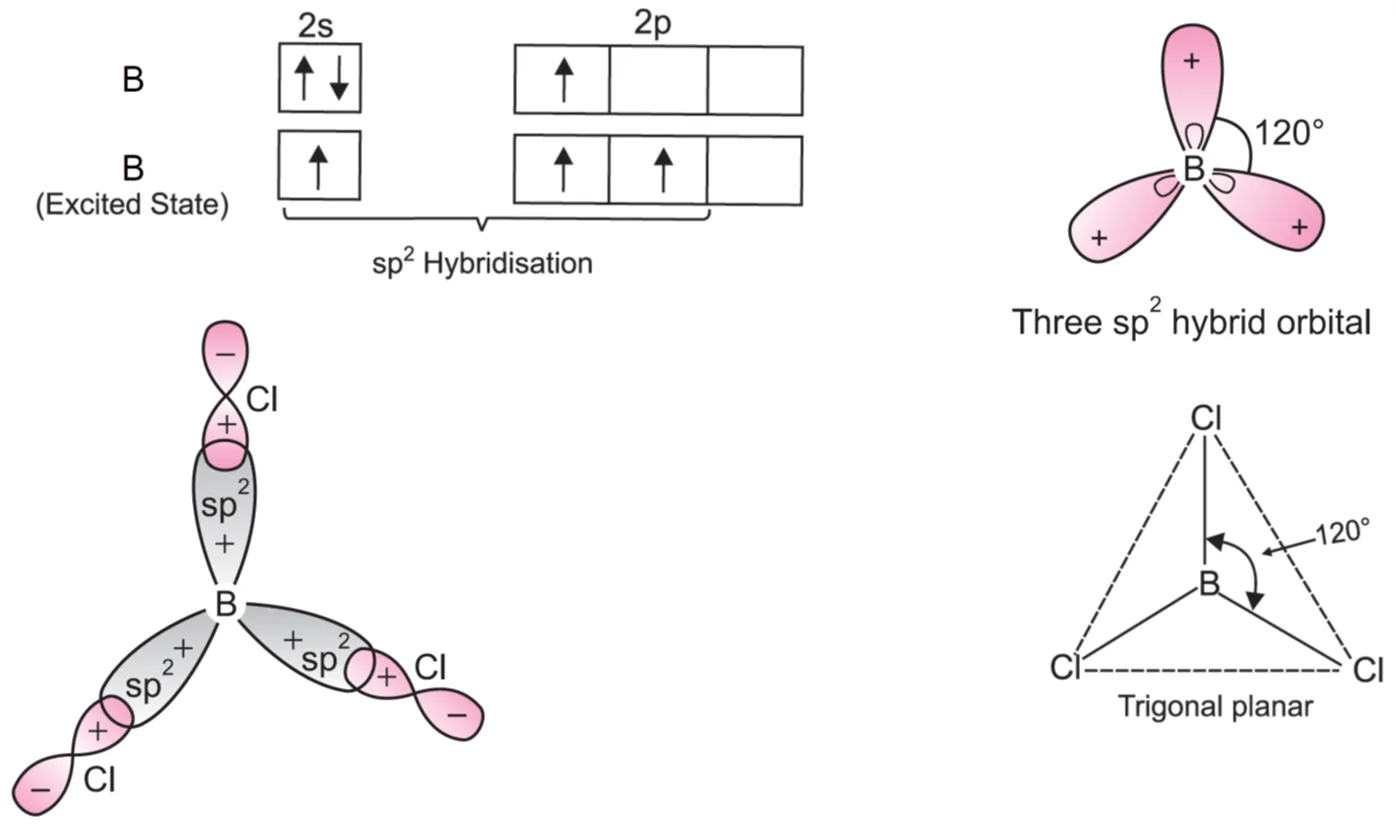 BCl3 has trigonal planar geometry (sp2 Hybridisation)